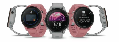 Garmin Forerunner 255s