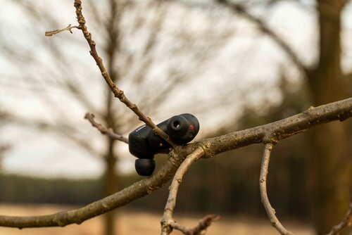 Sony INZONE Buds